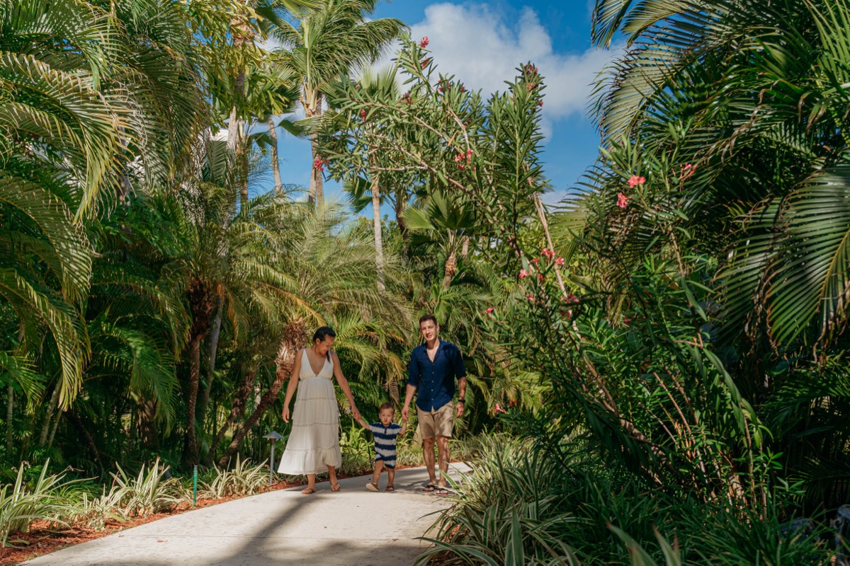 Family on a palm-lined path, Aruba